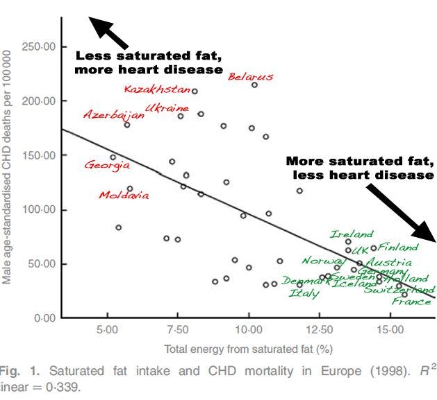 Saturated Fat and the Pan-European Paradox