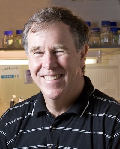 Tim Noakes Tim Noakes
