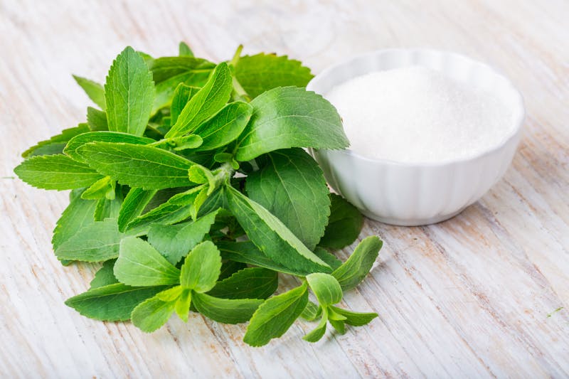 Fresh stevia leaves and bowl with sugar