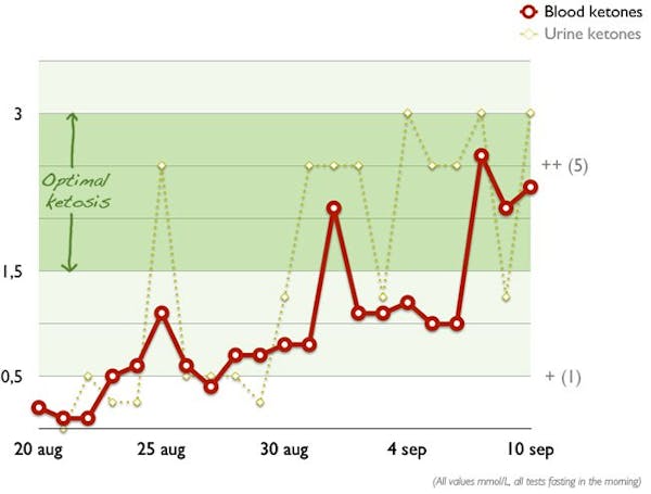 Higher level of ketosis optimal-ketos-english