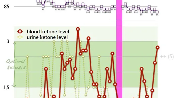 Final report: two months of a strict keto diet and ketone monitoring