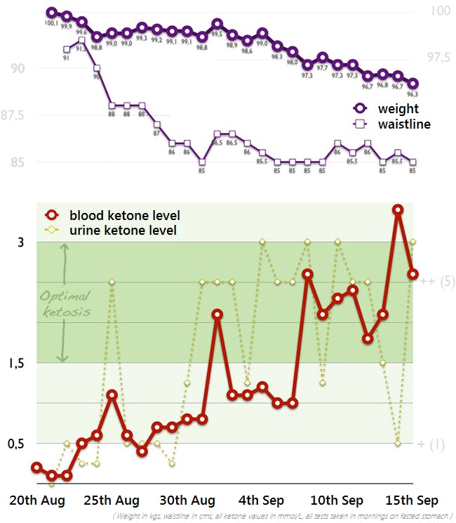 Four Weeks Of A Strict Keto Diet And Ketone Monitoring Diet