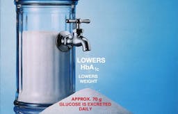 Low-carb diet in a pill - a good idea?