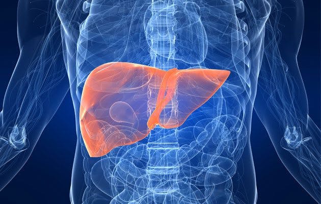 fatty-liver-pic-1