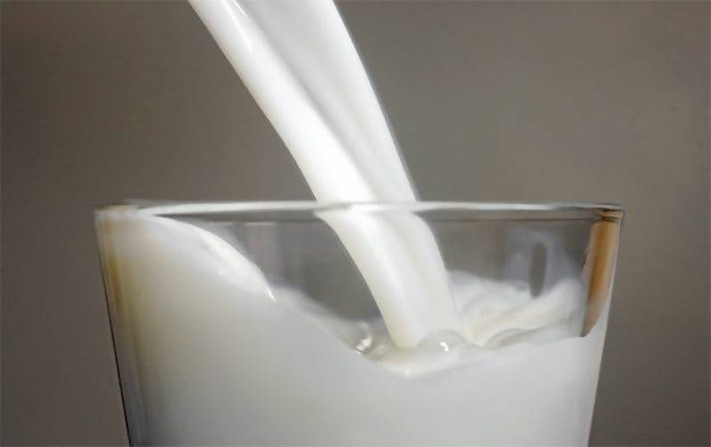 milk