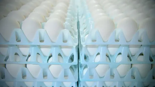 The quest for the eggless egg