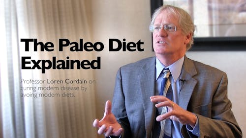 The Paleo diet explained