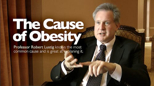 The cause of obesity