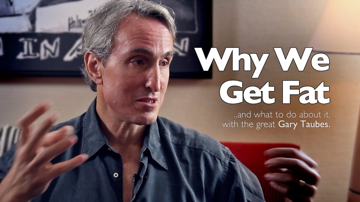 Why We Get Fat – Gary Taubes
