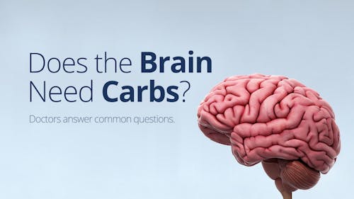 Does the brain need carbohydrates?