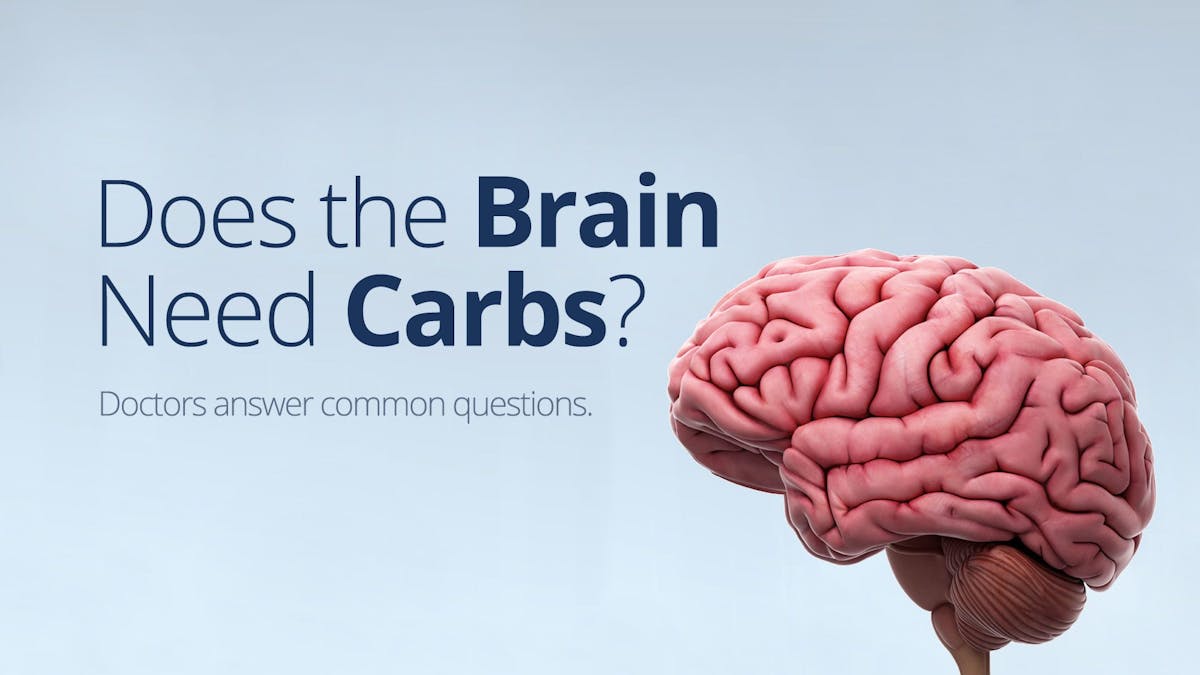 Does the Brain Need Carbohydrates? – Answers to Common Questions