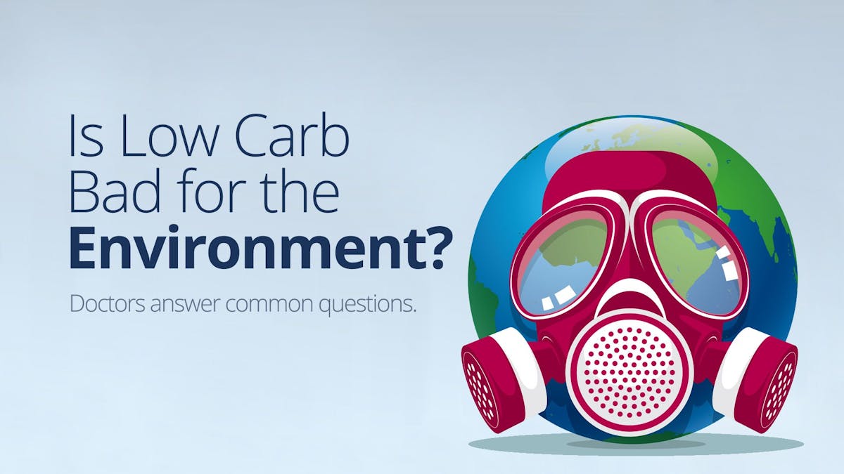 Is Low-Carb Bad for the Environment? – Answers to Common Questions