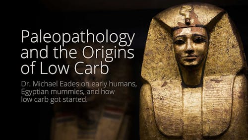 Paleopathology and the origins of low carb