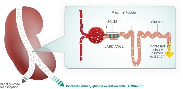 The first drug to reduce mortality in type 2 diabetes revealed! And it's low carb in a pill!