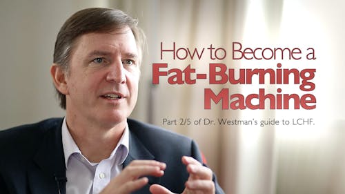 How to become a fat-burning machine