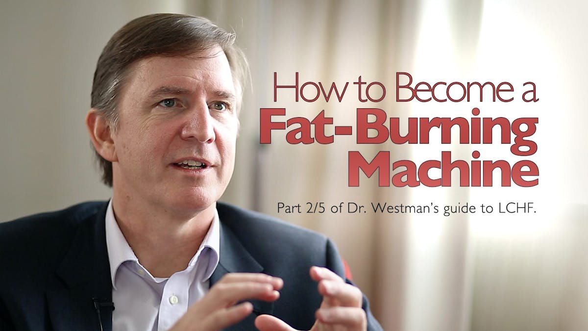 Dr Westman’s Guide to LCHF 2/5: How to Become a Fat-Burning Machine