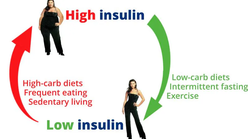 Weight control – the calories vs. insulin theory