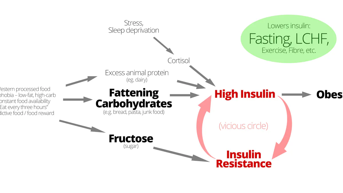 How to lose weight – the "magic" vs. the insulin way