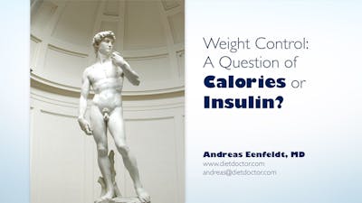Weight control, the calories vs. insulin theory