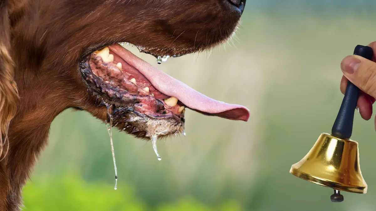 Does fasting lead to overeating?