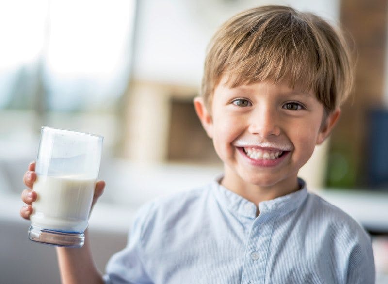 Whole Milk