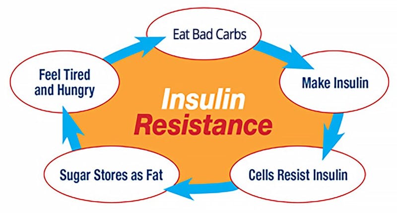 Why Insulin Resistance Is Good Diet Doctor
