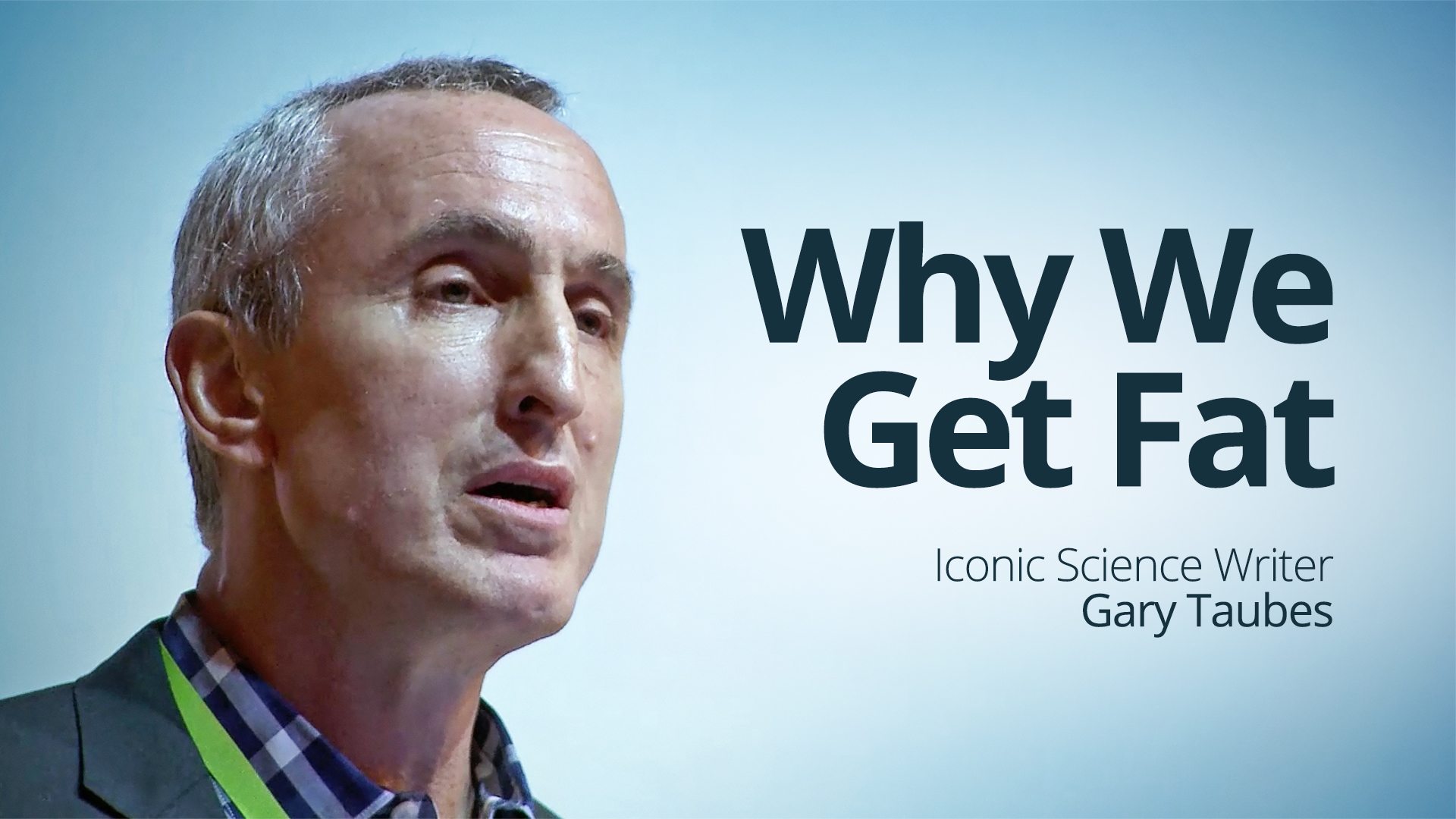 gary taubes why we get fat summary