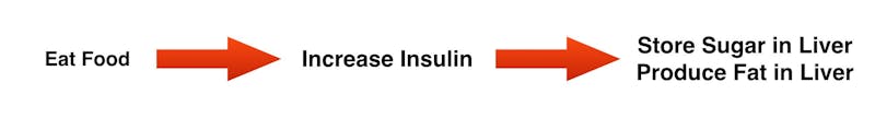 L'insuline augmente lorsque nous mangeons, aidant à stocker l'excès d'énergie de deux manières distinctes