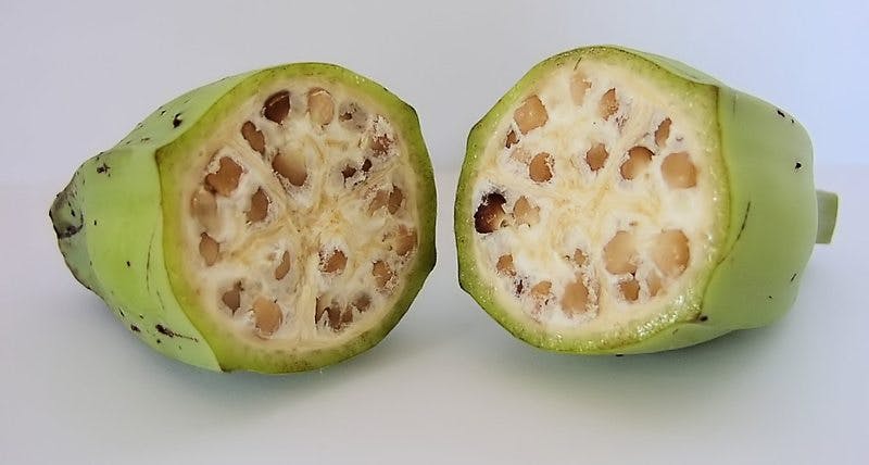 Low carb fruits – 15 grams or less per serving - MSU Extension