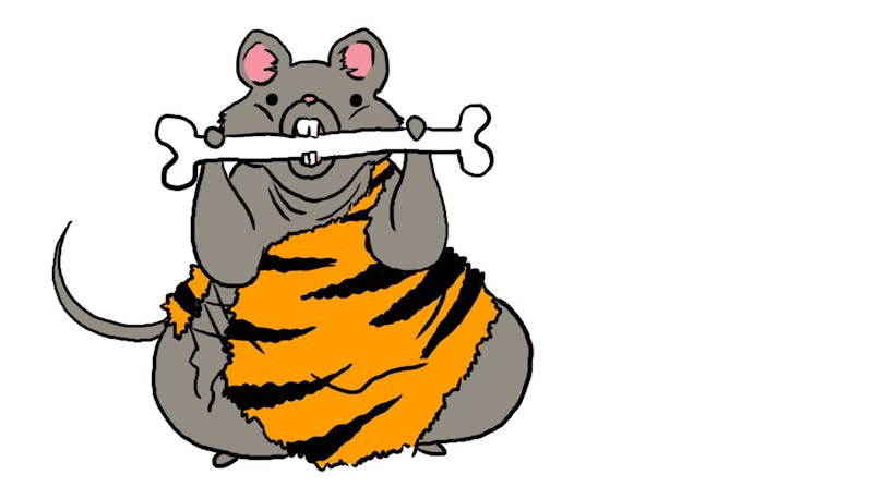 dietdoctormouse