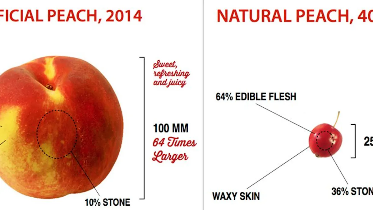What fruits and vegetables looked like before