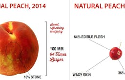 What fruits and vegetables looked like before