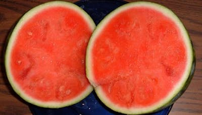 watermelon2