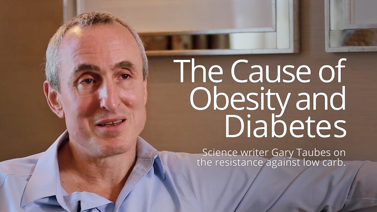 The cause of obesity and diabetes – interview with Gary Taubes