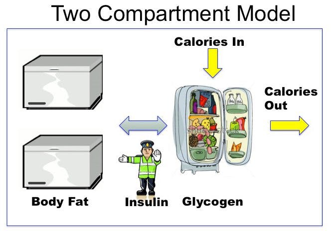 2CompartModel-1