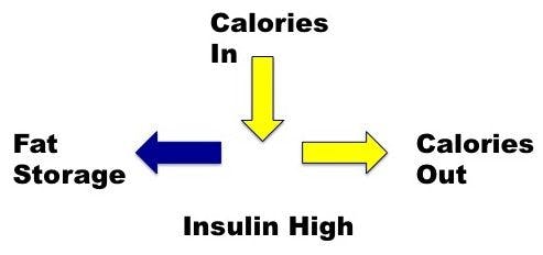 This is how I struggled to lose weight 6 Thermodynamics in Ketogenic diet, Calories in calories out, CICO
