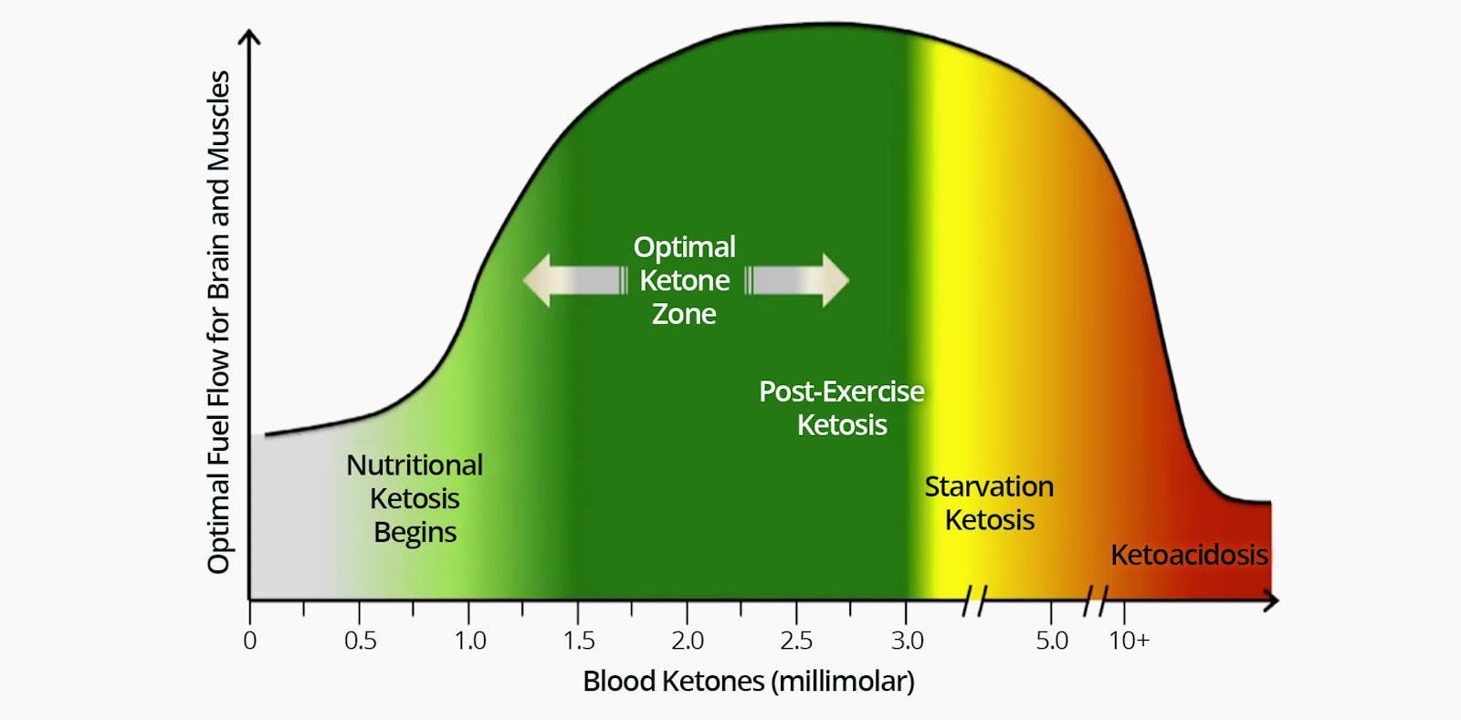 ketogenic diet steps - Top Free News