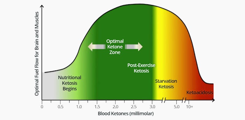 The Ketone Zone