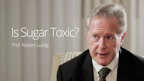 Is sugar toxic?