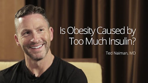 Is obesity caused by too much insulin?