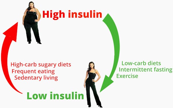 do diets work