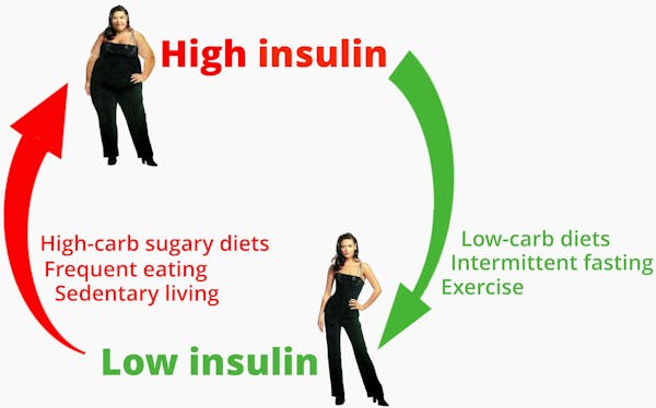 Insulin