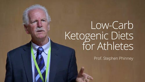 Low-carb ketogenic diets for athletes