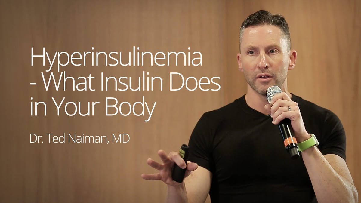 Hyperinsulinemia – What Insulin Does in Your Body – Ted Naiman