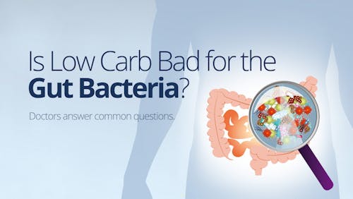 Is low carb bad for gut bacteria?