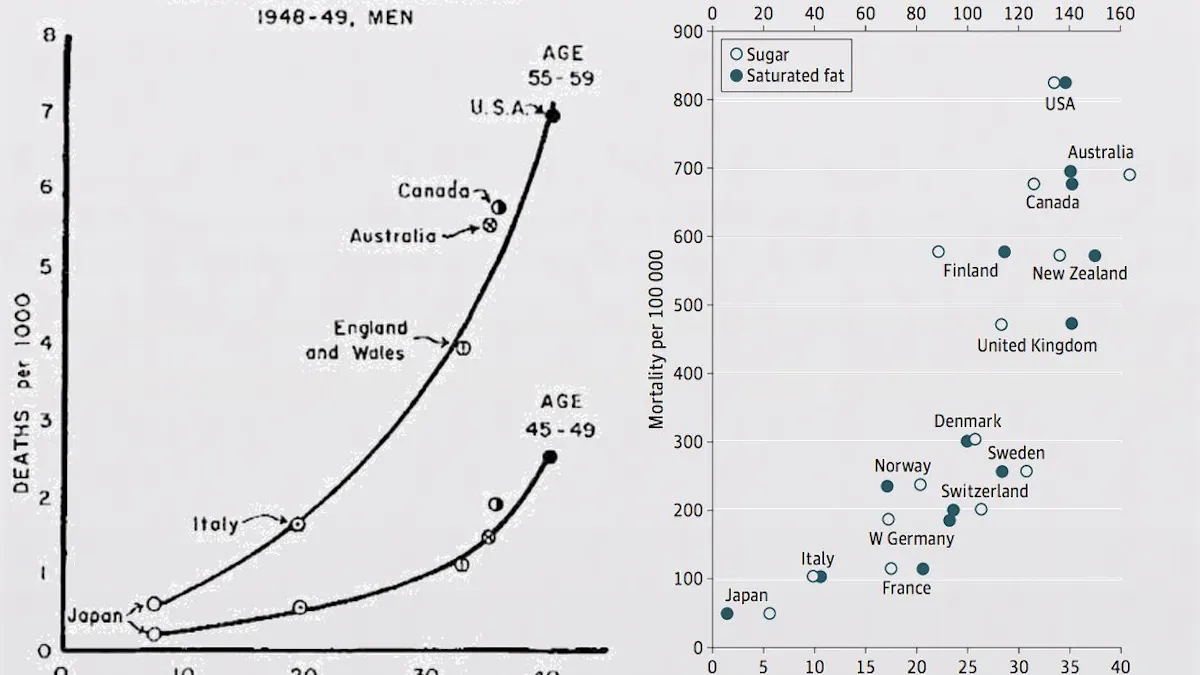 The hidden truth behind Ancel Keys' famous fat graph