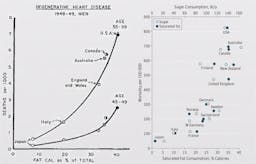 The hidden truth behind Ancel Keys' famous fat graph