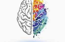 How does fasting affect your brain?