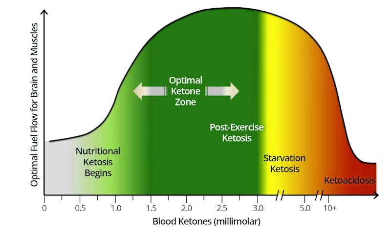 ketone zone