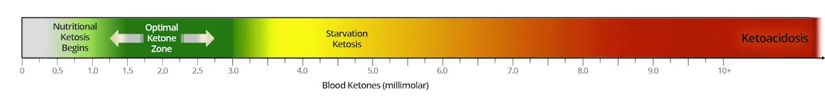ketone zone